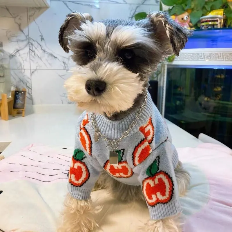 Letter Sweater Pet Dog Clothes - Winter Clothing For Toddlers 评论和价格
