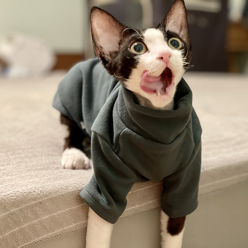 Sphynx Cat Clothes Baby Soft C - Winter Clothing For Toddlers 评论和价格